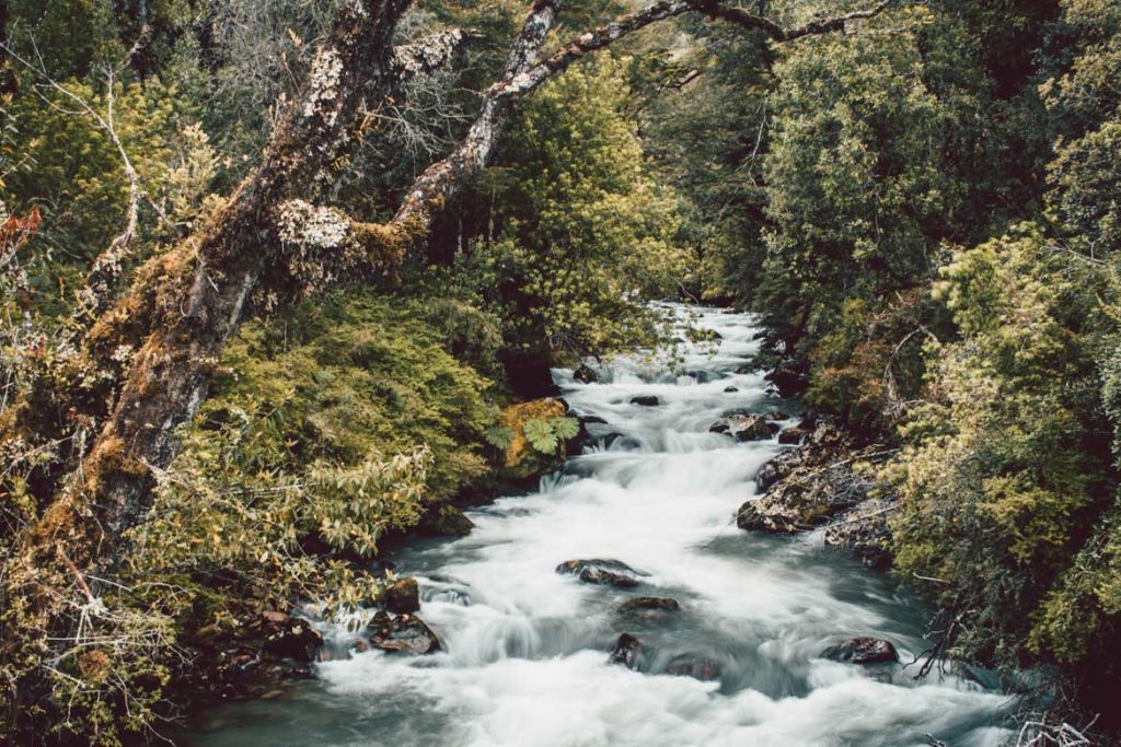 Fluss im Regenwald, Carretera Austral, Chile - river in the rainforest, Carretera Austral, Chile